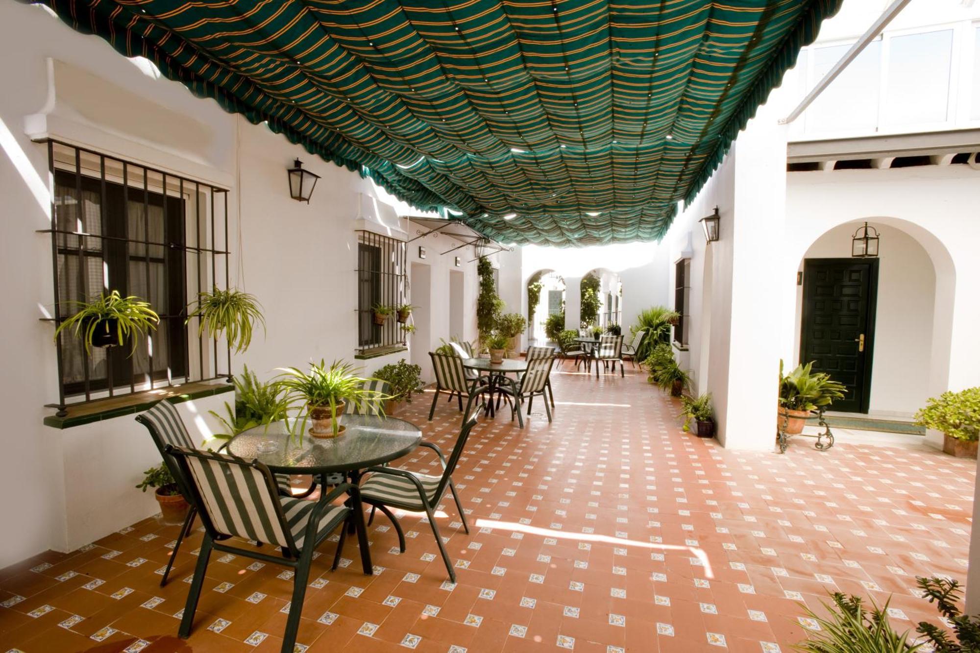 Helechos Sanlúcar de Barrameda