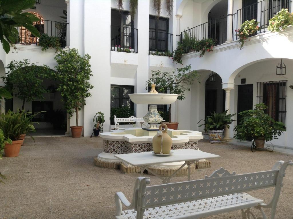 Helechos Sanlúcar de Barrameda