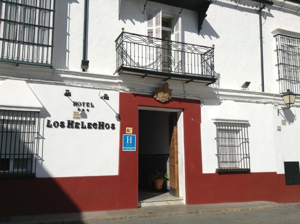 Helechos Sanlúcar de Barrameda